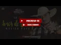 BIU DO PISEIRO - AMOR DE QUENGA (Música Nova)