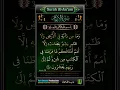 Download Lagu Surah Al-An'am Ayat-38 Mishary Rashid Alafasy #shotrs #tilawat #quranrecitation #islamicproductions