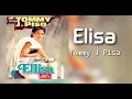 Download Lagu Elisa - Tommy J Pisa