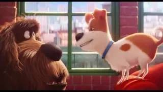Comme Des Bêtes / Extrait "Max piège Duke" VF [Au cinéma le 27 juillet]