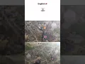 Download Lagu pain || malukulu 😂😂