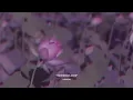 平井 大 / 祈り花 2020（Lyric Video）