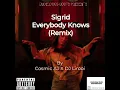 Download Lagu Everybody knows (remix) - Sigrid ft DJ Lirooi X Blxck adxm