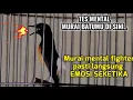 Download Lagu Kretekan keras murai batu ampuh untuk memancing emosi lawan agar cepat bongkar isian.
