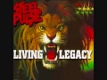 Download Lagu Steel Pulse - Reggae Fever (Living Legacy)