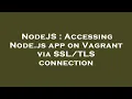 NodeJS Accessing Node js app on Vagrant via connection