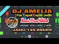 DJ AMELIA X PAK CEPAK CEPAK JEDER REMIX VIRAL TIKTOK TERBARU JANU 135 REMIX