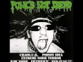 Download Lagu VA - Punk's Not Dread (Full Album)