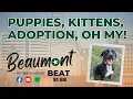 Puppies Kittens Adoption OH MY S1 E8 An inside look at Beaumont Animal Care