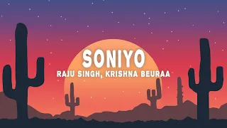 raju singh krishna beuraa soniyo from the heart lyrics 