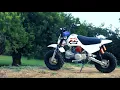 Piranha ZR 140 Summer is here to stay