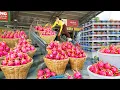 Download Lagu Use Truck To Harvest Tons Dragon Fruit Go To Market Sell - Daily Farm | Phương Farm Life