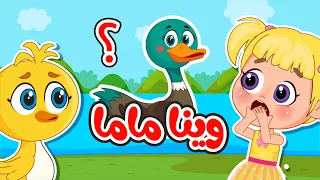 اغنية واك واك وينا ماما    هالبطات تايهين   اغاني اطفال عالم فلافي                دندنها