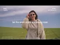 Movements - Daylily (Lyric Video Footage)