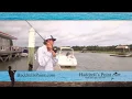 Haddrell s Point Tackle and Supply - For the Love of Fishing