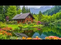 Download Lagu Relaxing Piano Music with Bird Sounds | Study, Focus and Relaxation