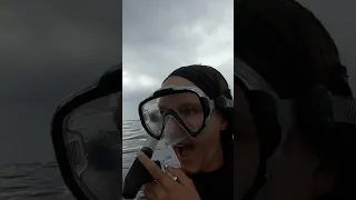 SHE IS SPEECHLESS🤯🐋 #swimmingwithwhales #humpbackwhale #moorea #ocean