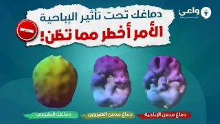 دماغك تحت تأثير الإباحية الأمر أخطر مما تظن 