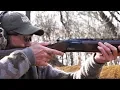 Browning Citori CXS