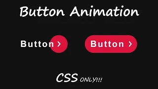 CSS Button with Circle Item CSS Animation