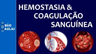 Hemostasis and Blood Coagulation: Platelet Role and the Coagulation Cascade