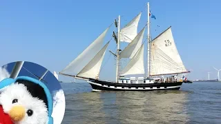 [44] Tall Ships On The Mersey