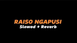 raiso ngapusi slowed reverb full lirik 