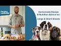 Large Giant Dog Breeds - Balanced Homemade Dog Food by The Dog Nutritionist