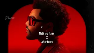 Lyrics Vietsub Moth To A Flame X After Hours The Weeknd  Lyrics Vietsub Moth To A Flame X After Hours The Weeknd