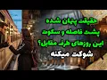 شراره تاروت کوچینگ - حقیقت پنهان شده ،پشت فاصله و سکوت این روزهای طرف مقابل؟؟  شوکت میکنه