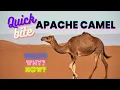What is Apache Camel