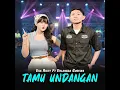 Tamu Undangan (feat. Erlangga Gusfian)