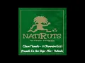 Presente de Um Beija Flor - Natiruts