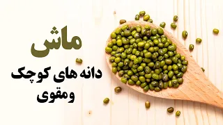 خواص شگفت انگیز ماش برای سلامتی دندنها
