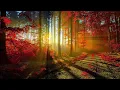 Download Lagu Bella Ciao Relaxing Piano Cover | 1 Hour Long, Relaxing Music, Romantic, Melodic, La Casa de Papel