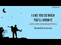 Download Lagu I Like You So Much, You’ll Know It - Ysabelle Cuevas  [ Lyrics video dan terjemahan ]