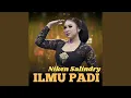 Download Lagu Ilmu Padi