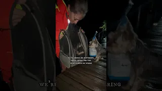 Puppy adoption in Bocas Del Toro 🇵🇦 #salingbyefelicia m