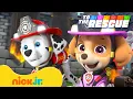 Download Lagu PAW Patrol Air \u0026 Fire Rescue to the Rescue! 🚁🚒 w/ Skye \u0026 Marshall | Nick Jr.