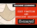 Cost Function and Gradient Descent Sinhala