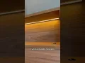 Vídeo do produto