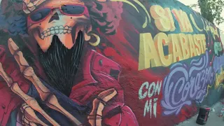 Panteón Rococó - Murales XXX Aniversario - Acábame de Matar