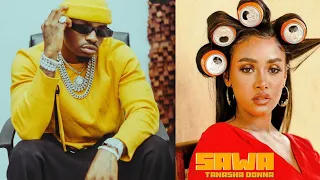 diamond aongea haya kwenye wimbo wa tanasha donna sawa music video dir ivan odie