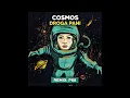 Cosmos - Droga Pani rmx Pawel88