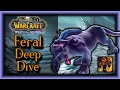 WOTLK Classic - Feral Druid Deep Dive