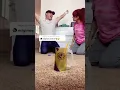 punches and big punches