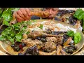 Download Lagu Eat local chicken cook with shiitake mushrooms and snail Naga mukbang 