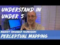 Understand in Under 5 Perceptual Mapping