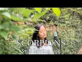 Download Lagu Scorpions - Still Loving You (Shrestysings Cover)