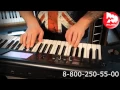 Download Lagu Синтезатор KORG M50 review and demo